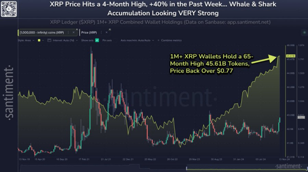 Кошельки XRP-китов накопили еще 3,44 млрд XRP и теперь содержат 45,61 млрд токенов, что является самым высоким показателем с июня 2018 года