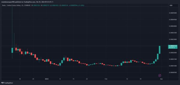 Рыночная капитализация Memecoin BONK Соланы достигла 1,6 миллиарда долларов, что стало свидетелем взрывного 100% роста цен Рыночная капитализация Memecoin BONK Соланы достигла 1,6 миллиарда долларов, что стало свидетелем взрывного 100% роста цен