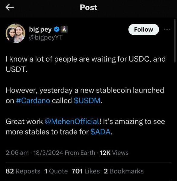 Основатель Mehen: «USDM поступит в розницу в апреле»