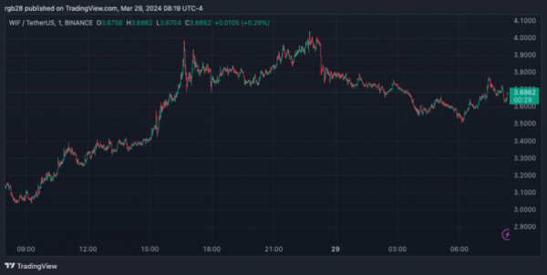Dogwifhat (WIF) сделал PEPE третьим по величине мемкоином Dogwifhat (WIF) сделал PEPE третьим по величине мемкоином