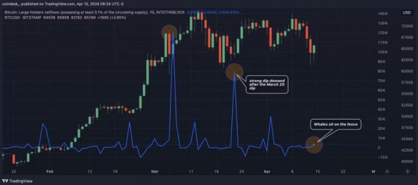Биткоин восстановился без крупных инвесторов. Что это значит для криптовалюты Биткоин восстановился без крупных инвесторов. Что это значит для криптовалюты