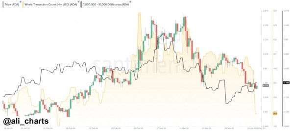 Криптоаналитик прогнозирует Cardano ценовой рывок вверх на 1300%