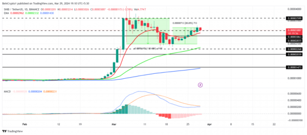 Shiba Inu (SHIB) может вырасти на 15%, и вот почему