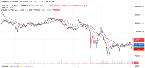 Высокая сетевая активность помогла лайткоину приблизиться к $80 Высокая сетевая активность помогла лайткоину приблизиться к $80