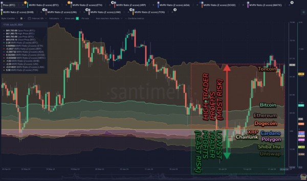 Аналитики посоветовали, в какие криптовалюты вкладывать в августе