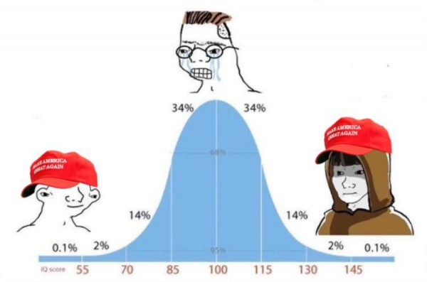 Илон Маск спровоцировал рост курса криптовалюты Трампа MAGA Илон Маск спровоцировал рост курса криптовалюты Трампа MAGA