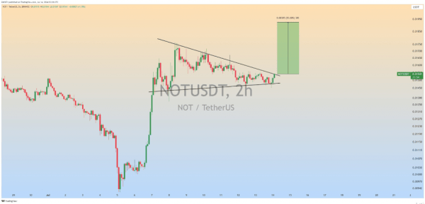 Notcoin разжигает рынок криптовалют, аналитик прогнозирует рост на 25%