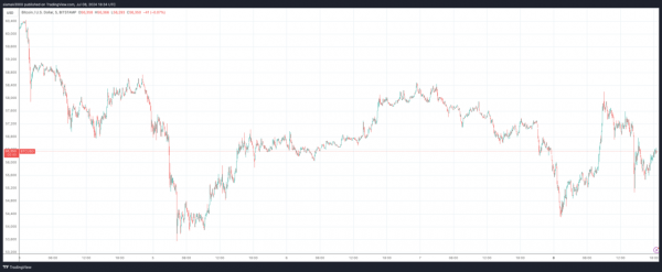 Кэти Стоктон о негативном потенциале Биткоина