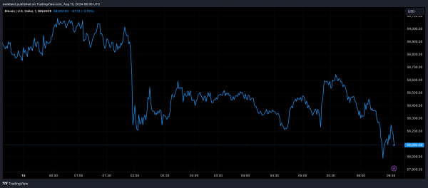 Криптовалютный аналитик раскрывает, что может привести к росту цены Биткоин до 48 000 долларов