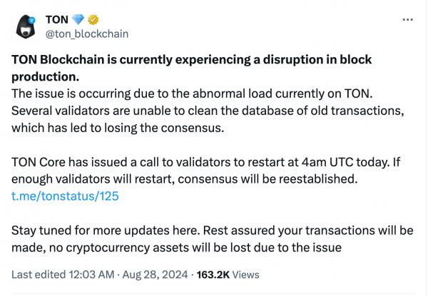 TON снова в сети после сбоя из-за раздачи DOGS