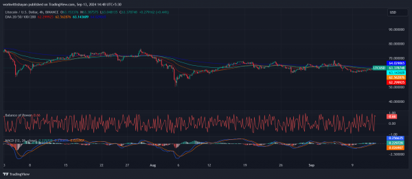 5 провалов аирдропа Hamster Kombat (HMSTR)