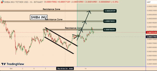 Сиба-ину готовится к 400%-ному росту из-за формирования бычьего флага, аналитик прогнозирует $0,000074 Сиба-ину готовится к 400%-ному росту из-за формирования бычьего флага, аналитик прогнозирует $0,000074