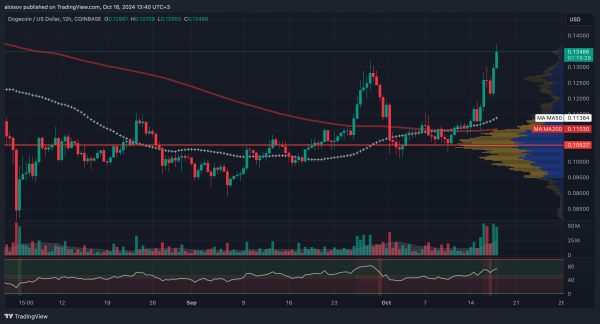 Dogecoin снова на взлетел: Илон Маск обронил пару слов на встрече в Пенсильвании Dogecoin снова на взлетел: Илон Маск обронил пару слов на встрече в Пенсильвании