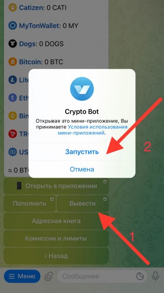 Что такое CryptoBot и как вывести деньги на карту Что такое CryptoBot и как вывести деньги на карту