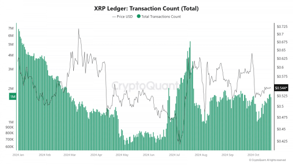 Транзакции XRP падают, но активные кошельки и ликвидность DeFi говорят о другом Транзакции XRP падают, но активные кошельки и ликвидность DeFi говорят о другом