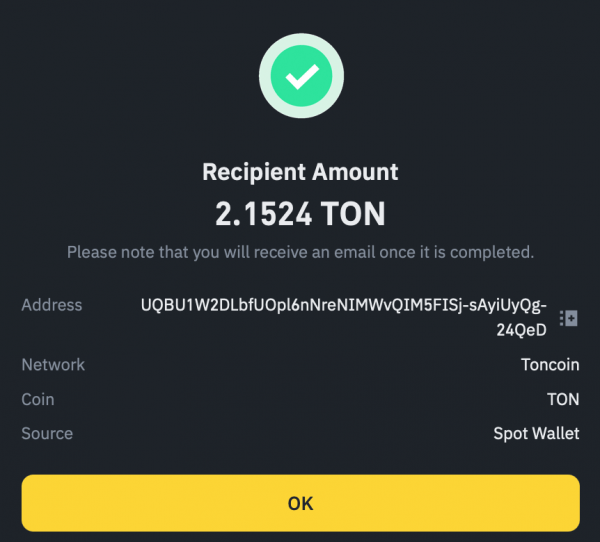 Как хранить криптовалюту TON на Ledger: подробное руководство