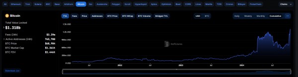 Rebar планирует запустить MEV Shield, ориентированный на биткоин, к концу 2024 года: генеральный директор Rebar планирует запустить MEV Shield, ориентированный на биткоин, к концу 2024 года: генеральный директор