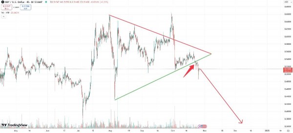 Инвестор посоветовал всеми силами избегать покупки XRP