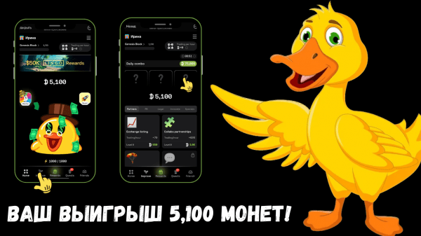 Новое комбо Dropee и ответ на вопрос дня 11 ноября