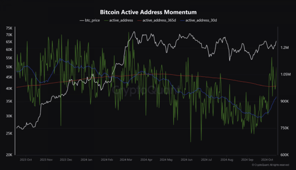 Эксперты дали прогноз биткоина на ноябрь 2024 года Эксперты дали прогноз биткоина на ноябрь 2024 года