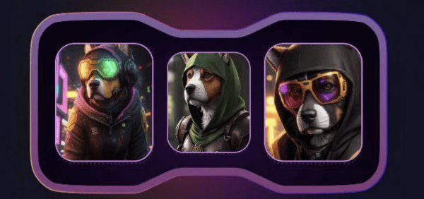 Комбо для Not Bored Puppies на 16 ноября