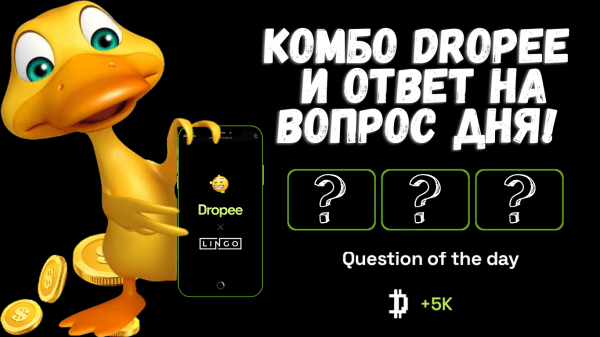 Новое комбо Dropee и ответ на вопрос дня 11 ноября