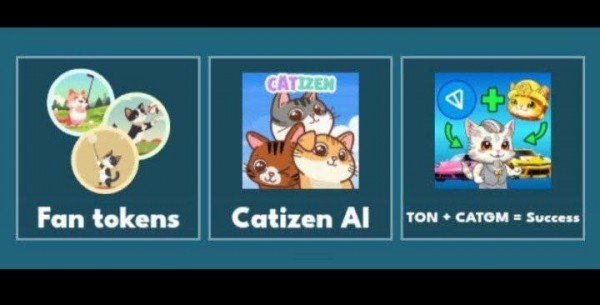 Комбо карты Cat gold miner на 3 декабря Комбо карты Cat gold miner на 3 декабря