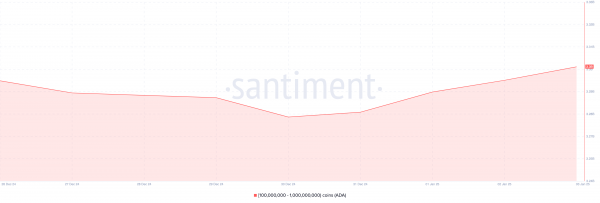 Что покупают киты, чтобы заработать в январе 2025 года Что покупают киты, чтобы заработать в январе 2025 года