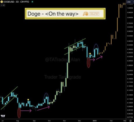 Большой объем транзакций Dogecoin резко вырос на 41%, ежедневные адреса выросли на 35%, катализатор роста до $1?