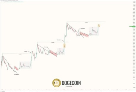 Киты Dogecoin скупают 470 миллионов DOGE на фоне бычьего восстановления основных показателей