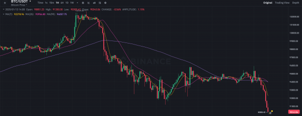 Биткоин обвалился до 90 тысяч долларов. Почему крупные инвесторы не переживают из-за просадки рынка крипты?