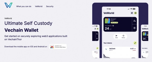 Обзор VeWorld: как VeChain делает Web3 проще с помощью VeBetter