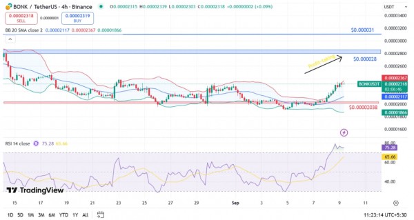 BONK растет на 8% благодаря корпоративным инвестициям и DeFi-применению BONK растет на 8% благодаря корпоративным инвестициям и DeFi-применению