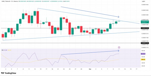 Цена Shiba Inu подошла к ключевому сопротивлению Цена Shiba Inu подошла к ключевому сопротивлению