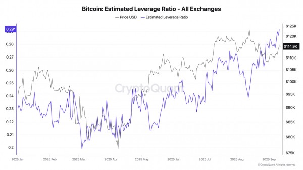 Биткоин пробил $112 000 и стремится к $120 000: инвесторы усиливают позиции