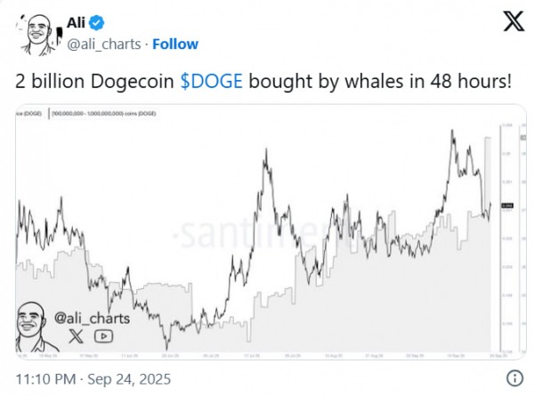 Киты скупили 2 млрд DOGE &mdash; аналитики видят потенциал роста до $1,30
