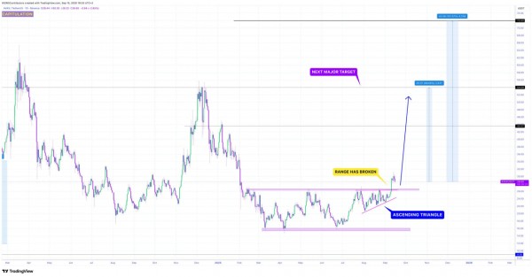 Bitwise подала заявку на запуск Avalanche ETF, присоединившись к VanEck и Grayscale