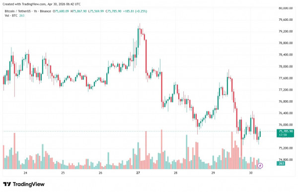 Биткоин уперся в &laquo;стену&raquo; из опционов у отметки $80 000