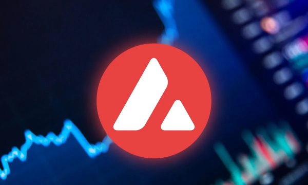 Avalanche делает ставку на будущее с кастомными блокчейнами