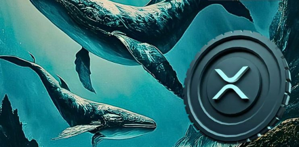 Кошельки XRP-китов накопили еще 3,44 млрд XRP и теперь содержат 45,61 млрд токенов, что является самым высоким показателем с июня 2018 года